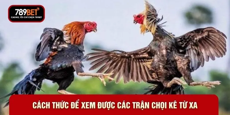Cách thức để xem được các trận chọi kê từ xa