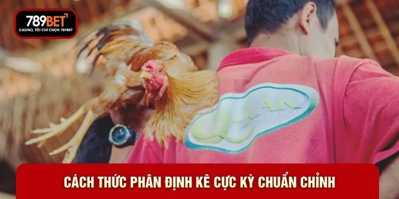 Cách thức phân định kê cực kỳ chuẩn chỉnh