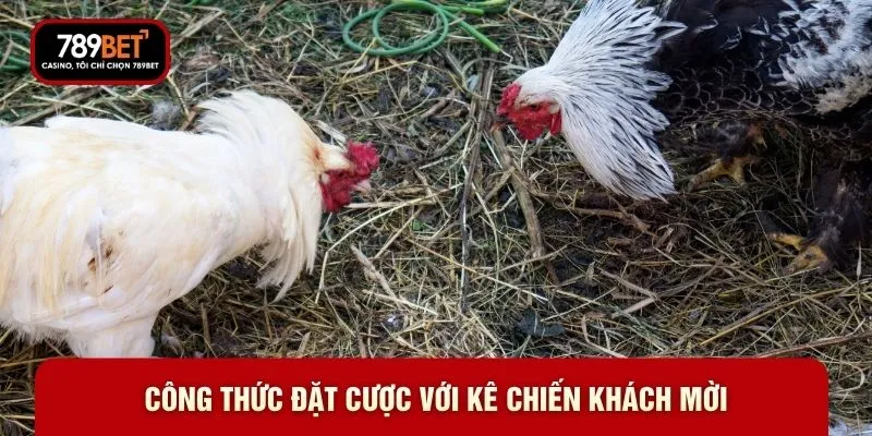 Công thức đặt cược với kê chiến khách mời
