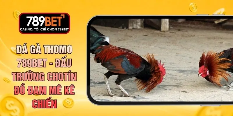 Đá Gà Thomo 789BET - Đấu Trường Cho Tín Đồ Đam Mê Kê Chiến