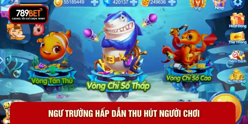 Ngư trường hấp dẫn thu hút người chơi