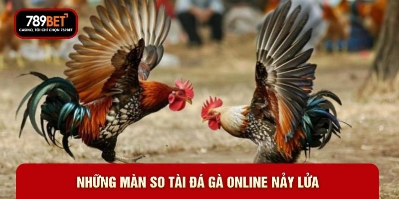 Những màn so tài đá gà online nảy lửa