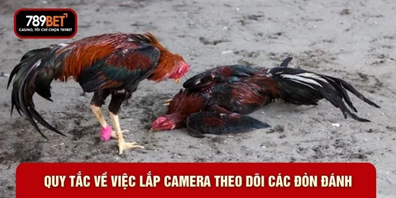 Quy tắc về việc lắp camera theo dõi các đòn đánh