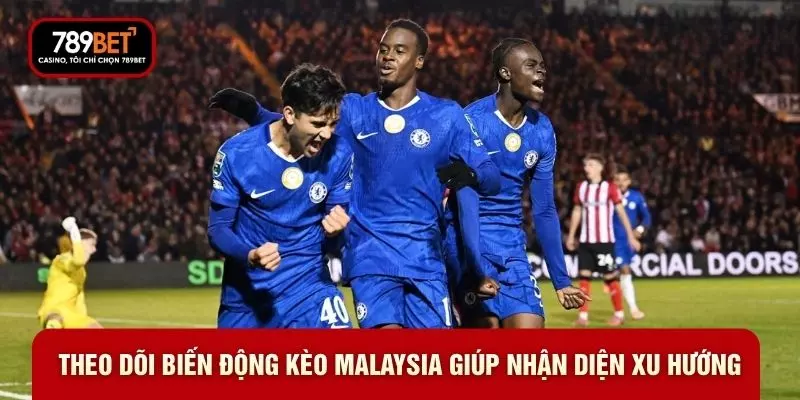 Theo dõi biến động kèo malaysia giúp nhận diện xu hướng