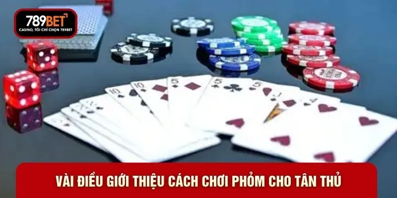 Vài điều giới thiệu cách chơi phỏm cho tân thủ